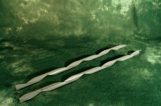 Tree Guard
